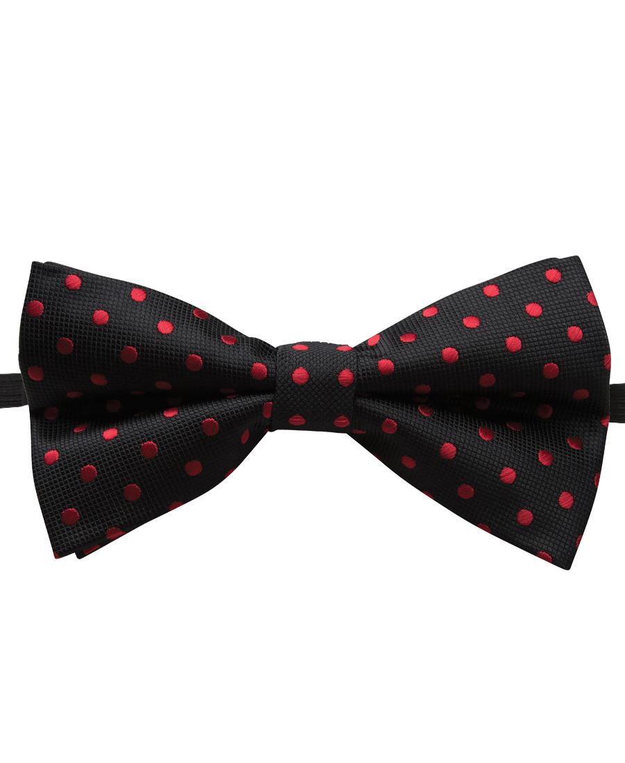 BOW TIE & POLKA DOT BOW TIE 5TBO